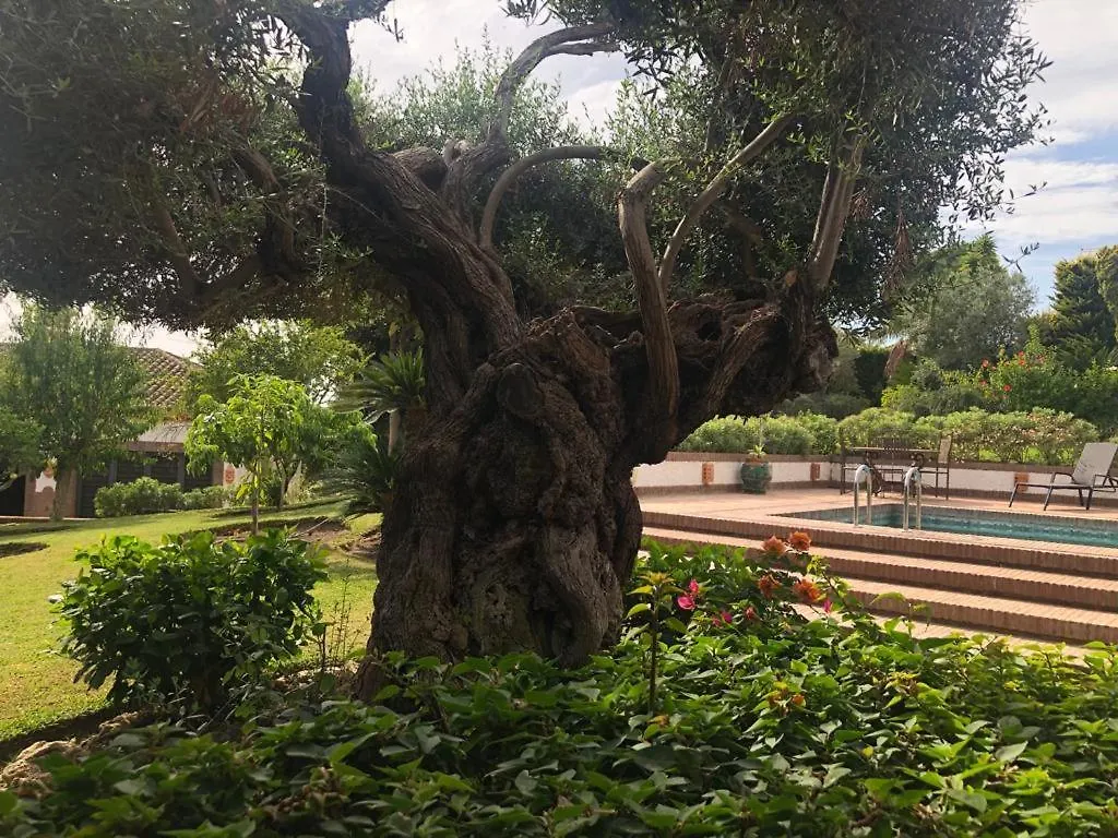 Authentic Andalucia Villa Marbella Spain