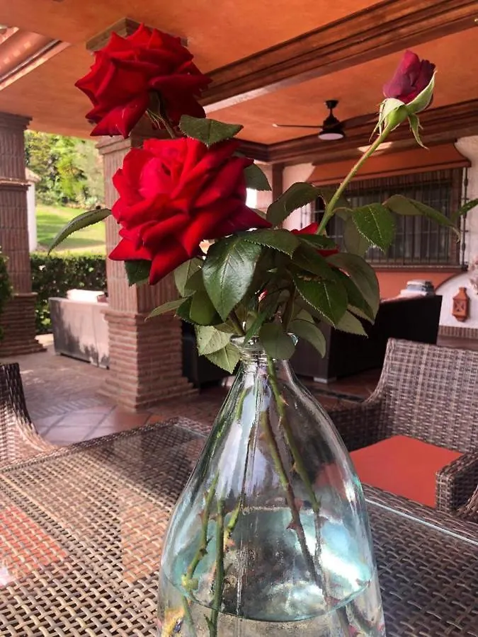 Authentic Andalucia Villa Marbella